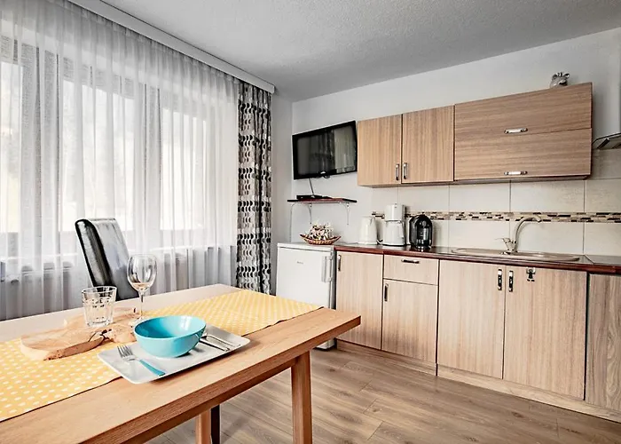 Leszek Elis 141 公寓 *